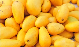 mango