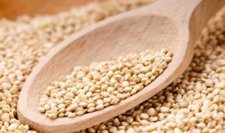 Beneficios de la Quinoa