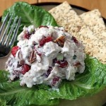 Ensalada de Pollo con manzanas y arandanos