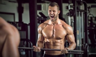 Reglas para Construir Musculo